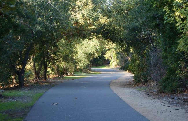 Central_Trail 2