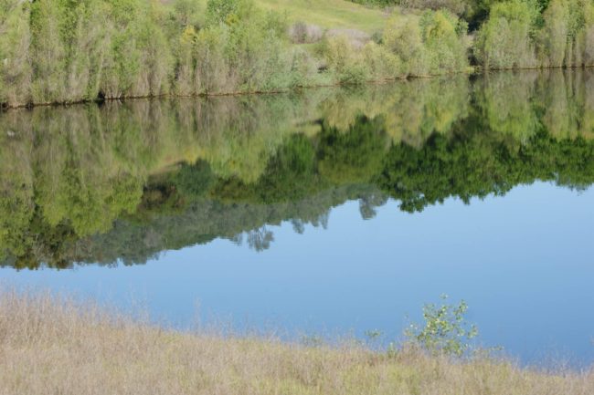 MarbleValley_Lake Reflection